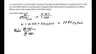 DNA concentration [upl. by Lesiram]