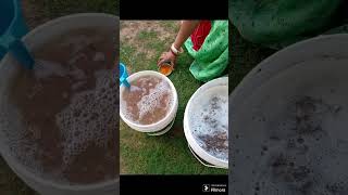 homemade fertilizer  liquid  viral trending shortvideo rajasthan [upl. by Lorrac]