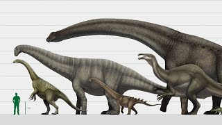 Random Prehistoric Animals size comparison 1 out of 3 [upl. by Marilee449]