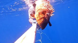 Ψαροντούφεκο για ΡΟΦΟΥΣ 🔱 Καλοκαίρι 2024 🔱Spearfishing Dusky Groupers 🔱 Summer 2024 [upl. by Reg]