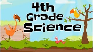 4th Grade Science Compilation [upl. by Maiga]