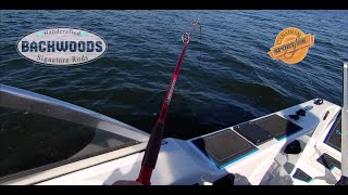 Backwoods Baitcaster parabolic test for trophy catfish [upl. by Genna]