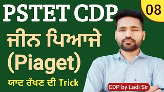 ਜੀਨ ਪਿਆਜੇ  Piaget Theory  PSTET CDP Preparation  Day8  Paper1  Paper2  Study Fighters [upl. by Pattison]