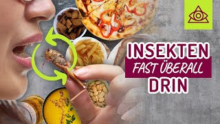 INSEKTEN 🦟 🐞 fast ÜBERALL drin‼️🧟‍♂️🦟 [upl. by Eixam]