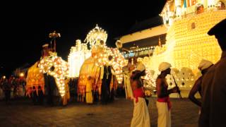 Kandyan Dancer Esala Perahera 2014 [upl. by Hallett]