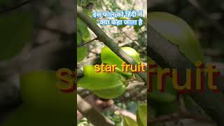 vlog minivlog nature 🥰बहुत सुपर 😱 Star fruit [upl. by Noraa]