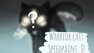 Warrior cats oc speedpaint 3 [upl. by Sirtemed]