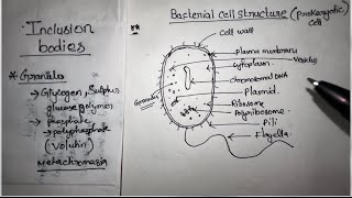 Unit 2 Bacteria Cell Structure  BSc Botany 1st Semester notes Gauhati University [upl. by Dagna]