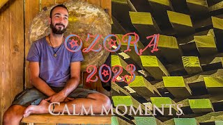 OZORA FESTIVAL 2023 [upl. by Llerot]