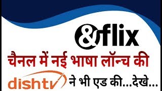 Good News Dish TV Added New Language Feed on English Movie Channel ampFlix Must Watch [upl. by Arodasi108]