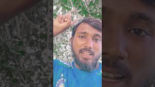 Bhoj Karbo Chhatiyari Ke ashishyadav bhojpurigana bhojpuristatus shortvideo sapnaandkundan [upl. by Bradford]