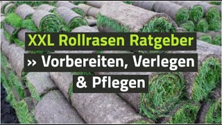 XXL Rollrasen Ratgeber » Rollrasen Vorbereiten Verlegen amp Pflegen [upl. by Cunningham251]