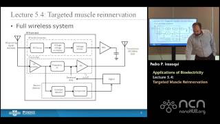 nanoHUBU Bioelectricity L54 Applications of Bioelectricity  Targeted Muscle Reinnervation [upl. by Yenruoc]