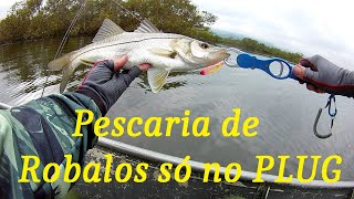 39  🔴🐟Pescaria de robalos só no PLUG🔴🐟 [upl. by Zzaj]