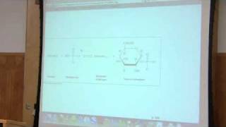 Glycogen Metabolism by Kevin Ahern Part 1 of 4 [upl. by Aihset]