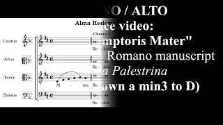 SOPRANOALTO practice Alma Redemptoris Mater  Palestrina transposed [upl. by Notneb]