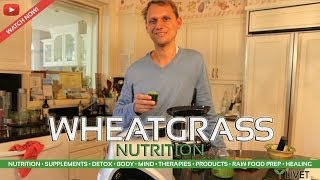 WHEATGRASS for NUTRITION ◦ Benefits Facts Information amp Experience from LIVET LIFESTYLE amp LIVETtv [upl. by Ixel119]