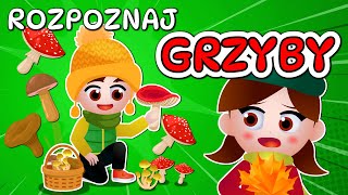 🍄 Kazio i TEST GRZYBIARZA  Grzybobranie dla dzieci  Rozpoznawanie grzybów 🍄 [upl. by Teerprug298]