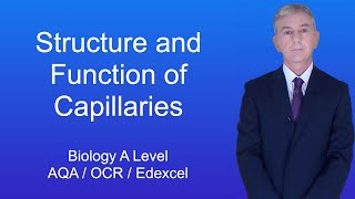 A Level Biology Revision quotStructure and Function of Capillariesquot [upl. by Elik]