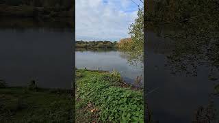 Broome pits fishing carps carpfish fish carpfishing lake carpworld angling anglinglife [upl. by Knoll]