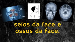 RADIOLOGIA DIFERENÇA ENTRE OSSOS DA FACE PARA SEIOS DA FACE [upl. by Halford42]