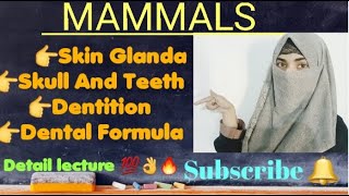 MAMMALS  Skin Glands  Skull And Teeth DENTITION Dental Formula In Different Mammals [upl. by Allimaj]