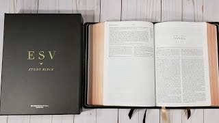 ESV Heirloom Study Bible Review [upl. by Gautious964]