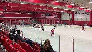 NAHL Prospects Combine 10 Red 4222 [upl. by Nnayllas]