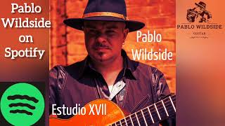 Estudio XVII Leo Brouwer by Pablo Wildside [upl. by Denman862]