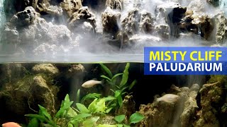 AquaTerrarium Stone Cliff  Misty Paludarium [upl. by Melinda]