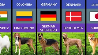 Dog Breeds From Different Countries Comparison [upl. by Eicyal]