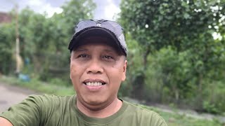 adsense errorhancur semua channel [upl. by Arammahs]