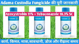 Adama Custodia Fungicide Azoxystrobin Tebuconazole [upl. by Daffy733]