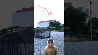 shortvideo trapping bridtrap masukberanda comedy trap birdtrap burung [upl. by Noillid580]