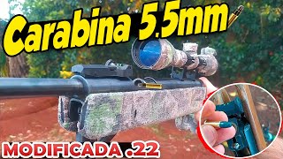 Carabina de pressão 55mm modificada pra munição 22lr Cano fixo [upl. by Laws]