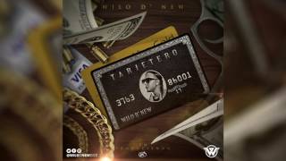 Wilo D New  Tarjetero Official Audio [upl. by Aitnahc]