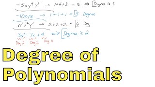 05  Degree of Polynomials Find the Degree of Monomial Binomials Trinomials [upl. by Findlay257]