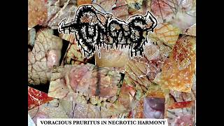 FUNGUS  VORACIOUS PRURITUS IN NECROTIC HARMONY EP 2024 mincecore grindcore crustpunk [upl. by Nolyat]