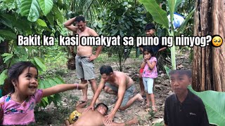 Bakit ka KASI omakyat sa puno ng niyog 🥺 [upl. by Branen466]