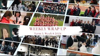 Weekly Wrap Up  Week 8 Term 3 2024 [upl. by Ellehc]