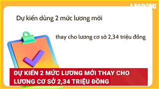 Dự kiến 2 mức lương mới thay cho lương cơ sở 234 triệu đồng  Báo Lao Động [upl. by Wittenburg]