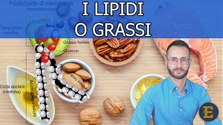 006 I Lipidi livello base [upl. by Bollay]