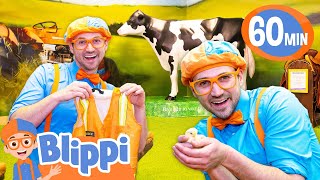 Blippis Occupation Exploration  Blippi  Educational Videos for Kids [upl. by Eelarak709]