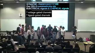 Synapse quotHuman Magnifiedquot Sooo Easyyyy Voltage and Ligandgated channels explained [upl. by Hertzog]