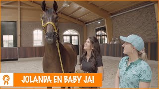 Los galopperen in de bak met Jolanda Adelaar  PaardenpraatTV [upl. by Kele]