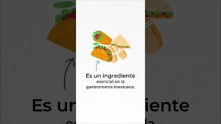 El maíz es un alimento ideal para niñas niños y jóvenes Recuerda incluirlo en tu dieta diaria [upl. by Cindie286]