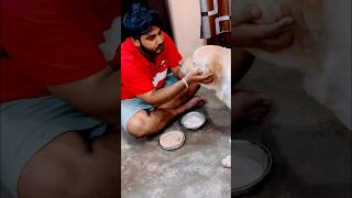 Dinner time ❤️ getwellsoon doglover dog labrador pets unconditional love nditional [upl. by Kotto]