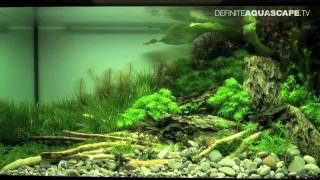 Aquascaping  The Art of the Planted Aquarium 2012 part 3 [upl. by Nauq109]