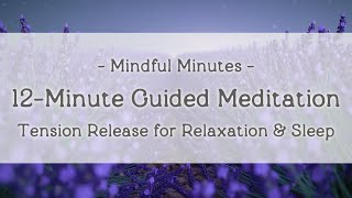 Meditation for Decompression 12 Minutes of Tension Release  Mindful Minutes [upl. by Eisteb]