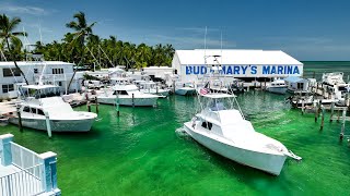 Blue Marlin Encounter  Blackfin Tuna  Hundreds of Mahi [upl. by Marlon464]